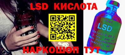 дживик Можга