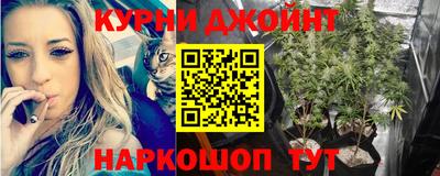 дживик Можга