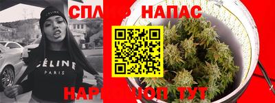 дживик Можга