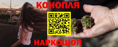 дживик Можга
