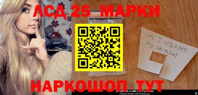 дживик Можга