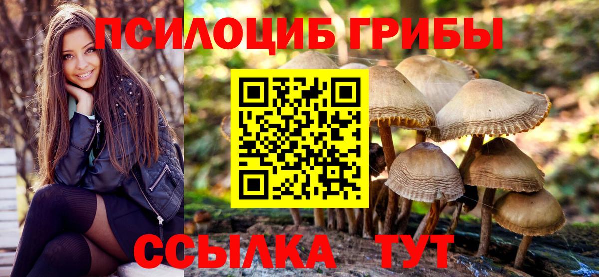 Фурманов  Галлюциногенные грибы Psilocybine cubensis  Псилоцибиновые грибы MAGIC MUSHROOMS  купить наркотик  Вход с VPN 